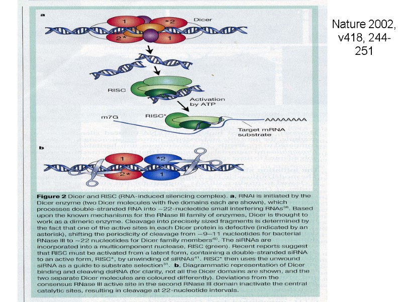 Nature 2002, v418, 244-251